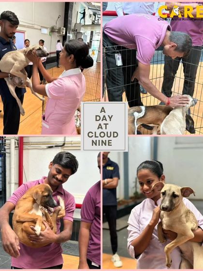 Charlie's Animal Rescue Centre - Community Outreach & Education The Power of Partnership: Corporate & Community Support photo 19