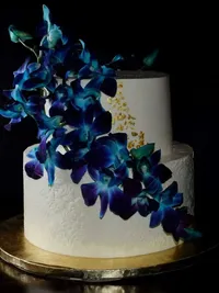 Custom Celebration Cakes