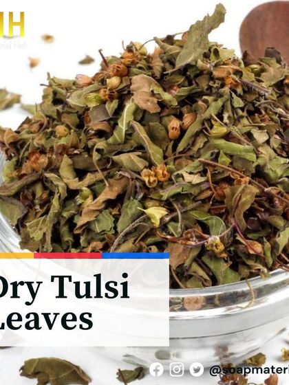 We stock dry Tulsi leaves, a staple in traditional Indian wellness. Incorporating these holy basil leaves into your soap can create a product with purifying and herbal properties, appealing to customers seeking natural remedies.