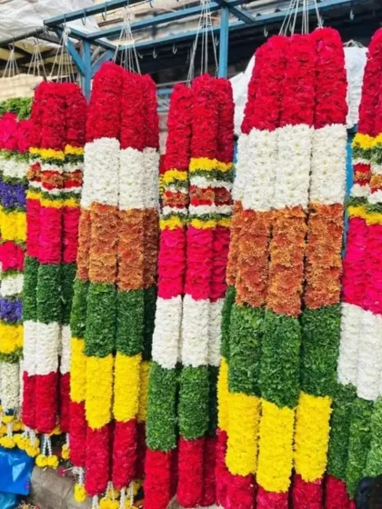 A display of our large, vibrant flower garlands (haara). We supply these for political rallies, weddings, and to honor special guests.