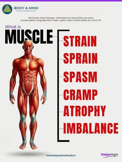 Body & Mind PhysioPilates Studio - Physical Therapy & Rehabilitation Understanding Your Body: Educational Insights photo 5