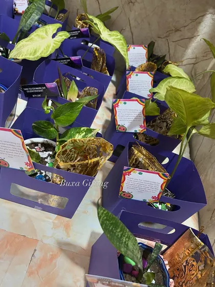 These eco-friendly planter hampers are a wonderful way to give a gift that grows.