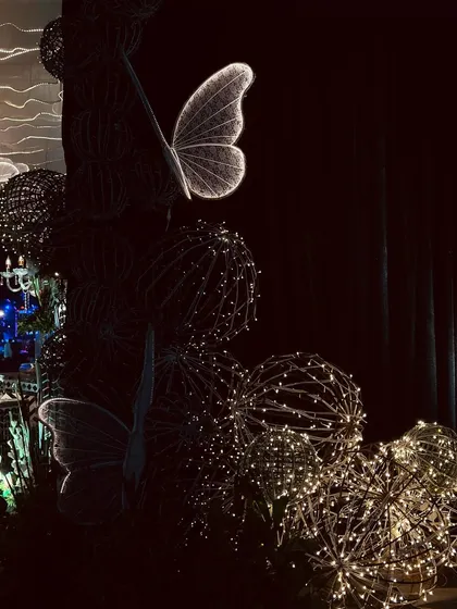 A moody, artistic shot of our Sangeet night decor, focusing on illuminated butterfly and sphere props that create a magical ambiance in the dark.
