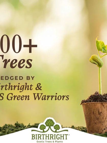 The results of our Environment Day drive speak for themselves. Together, the DS Green Warriors and I pledged over 700 trees, a significant step towards a greener future.