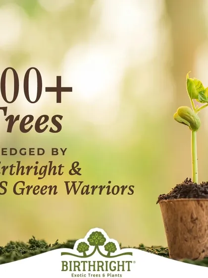 The results of our Environment Day drive speak for themselves. Together, the DS Green Warriors and I pledged over 700 trees, a significant step towards a greener future.