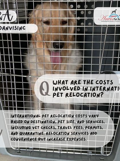 Anvis - Pet Relocation Fun & Community photo 7