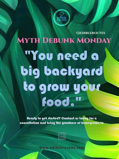 I'm here to debunk the myth that you need a big backyard. My services are designed to make growing your own food possible for everyone, no matter the size of your space.