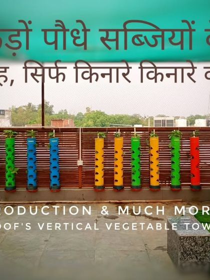 Hundreds of vegetable plants in just the space along the edge of the terrace. My vertical towers offer great looks, high production, and leave the rest of your roof free for other activities.