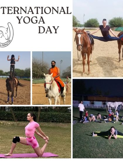 Unique Farm Experiences photo 9