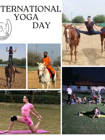 A collage celebrating International Yoga Day, featuring riders performing yoga poses on and off horseback. It's a unique way to practice balance and mindfulness.