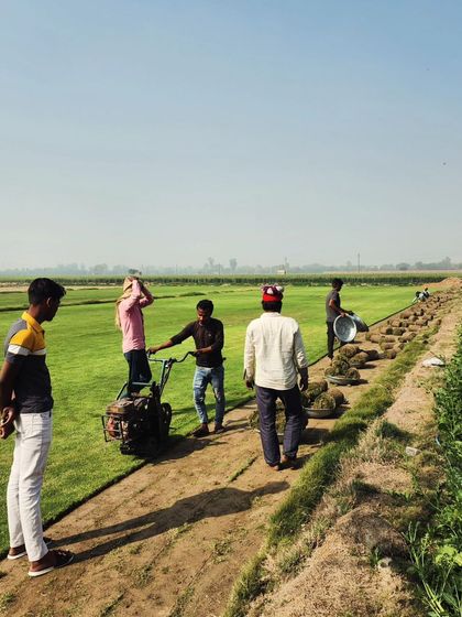 Delhi Gardner - Full-Service Landscaping Premium Lawn & Turf Solutions photo 53