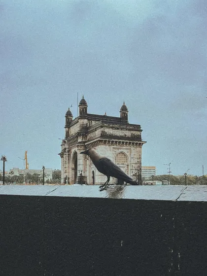 A crow perches on the wall in front of the Gateway of India on a cloudy day. Even the wildlife seems to be taking in the view.