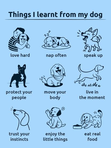 More life lessons from my dog: love hard, nap often, speak up, and eat real food. They are truly the wisest teachers.