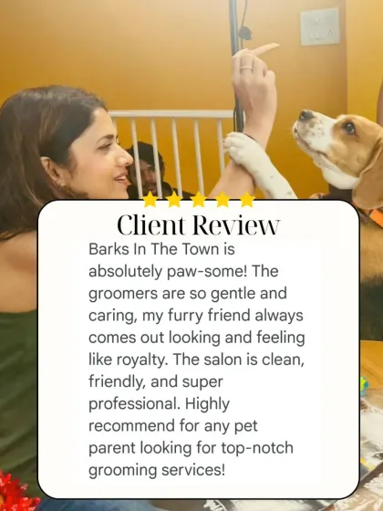 This client calls our service "paw-some". We are so happy they found our groomers to be gentle and caring, and our salon to be clean, friendly, and professional.