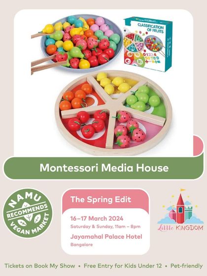 Montessori Media House offers wonderful educational toys like this fruit classification set, which helps children learn about colors, shapes, and sorting in a fun, hands-on way.