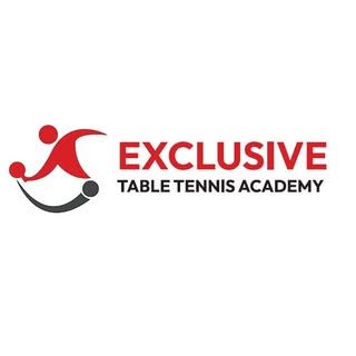 Exclusive Table Tennis Academy