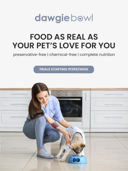 Food as real as your pet's love for you. That means preservative-free, chemical-free, and complete nutrition. I make it simple to show your love through honest, healthy food.