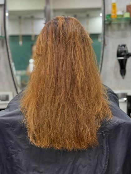 Rich Brunettes & Sun-Kissed Browns photo 26