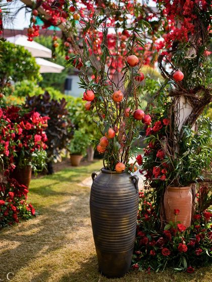 Vibrant Haldi & Mehendi Functions photo 8