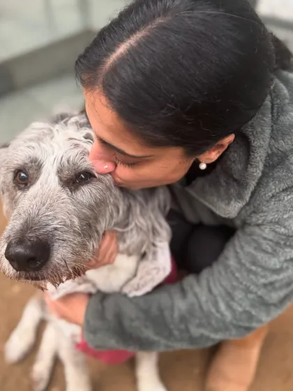 Mondays can be ruff, but a cuddle with a sweet senior like Duke makes everything better. We are here to provide comfort and companionship.