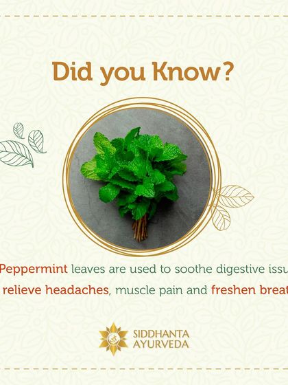 Siddhanta Ayurveda - Pain & Joint Care Ayurvedic Principles & Lifestyle Guidance photo 9