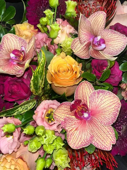 Jewel tones of burgundy, peach, orange, and pink thrill in this powerful colour palette. I give each flower, like these stunning Phalaenopsis orchids, its own space to shine bright.