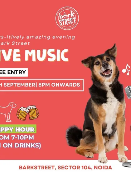 A paws-itively amazing evening at Bark Street with live music and happy hour.