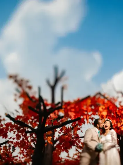 A wide shot capturing a candid laugh, using a tilt-shift lens to create a dreamy, miniature effect. The focus is entirely on their shared moment, surrounded by a beautiful blur of color.