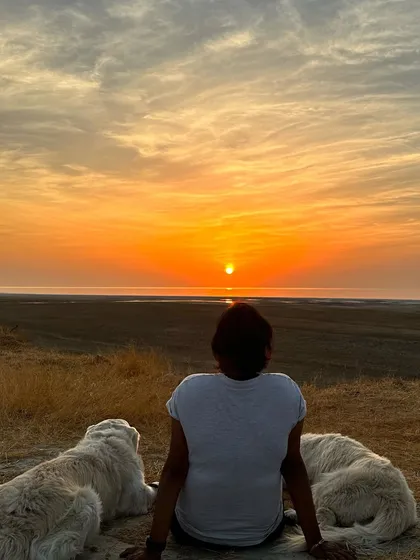 Sometimes the best part of an adventure is the quiet moment at the end of the day. Teaching your dog to relax and just 'be' with you is one of the most important skills for any traveler.