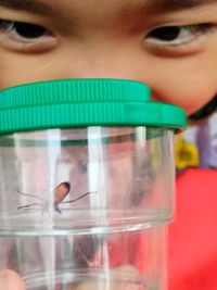 Creative & Educational Nature Workshops