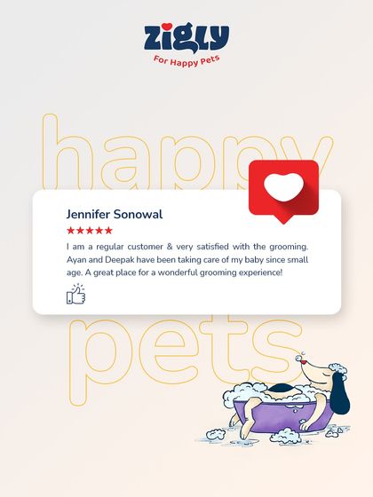 Zigly - Professional Pet Grooming & Spa Hear From Our Happy Pet Parents photo 10