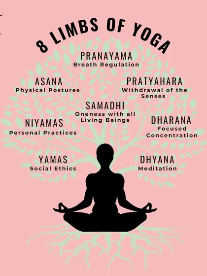 This graphic illustrates the 8 Limbs of Yoga, the complete philosophical path of which asana (physical postures) is just one part. It shows the depth of the practice, from ethics and breath regulation to meditation and enlightenment.