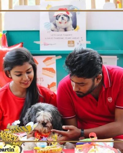 Pet Celebrations