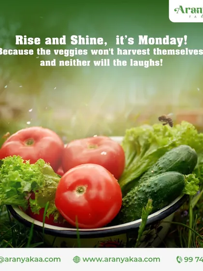 Rise and Shine, it's Monday! Because the veggies won't harvest themselves, and neither will the laughs. A little motivation to start the week on a positive, productive note.