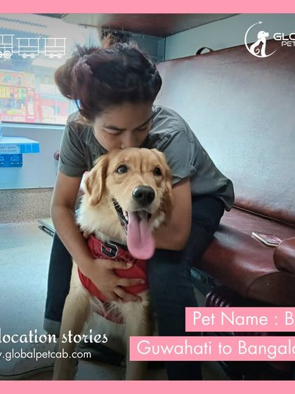 Global Pet Cab - Domestic Pet Relocation Train Travel: First-Class Coupe Journeys photo 31