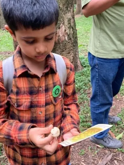 A young forager proudly holds a mushroom he found, comparing it to his identification card. These moments of personal discovery are what make our walks so rewarding.