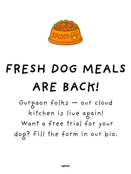 Big news for Gurgaon folks. Our cloud kitchen is back, which means daily delivery of fresh dog meals is live again. We're excited to serve our local community once more.