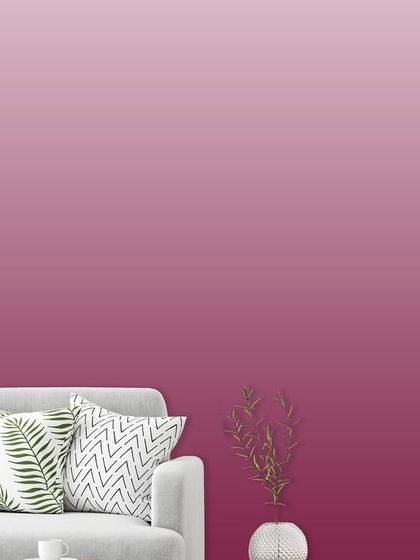 Our Signature Collections photo 56