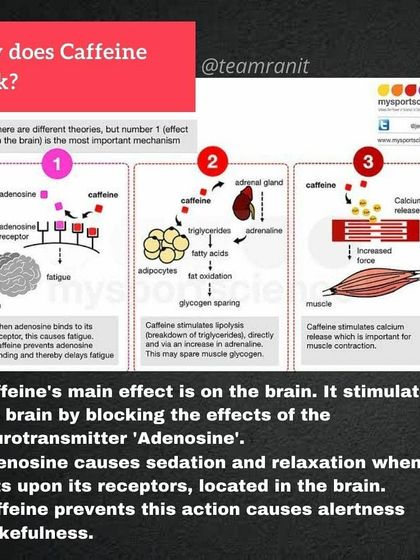 Ranit Roy - Sports Nutrition Coaching Supplement Guide: The Real Deal photo 24