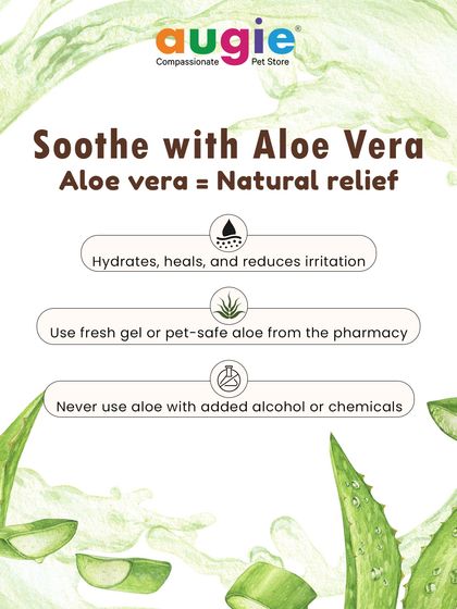 Augie Pets - Pet Supplies Health, Wellness & Pet Care Tips photo 25