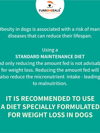 This collection of infographics and product shots provides a comprehensive guide to understanding, preventing, and managing dog obesity with my specialized diet plans and responsible treating tips.