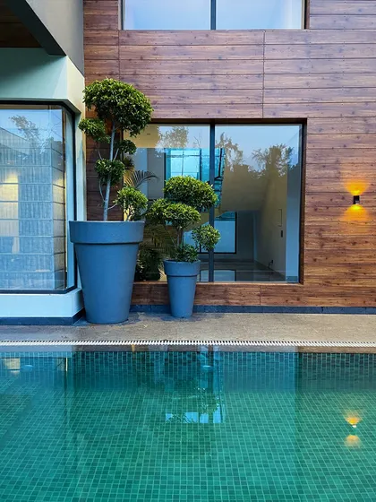 Topiary trees in large pots stand by the poolside, reflecting in the calm water. This adds a touch of formal elegance to the modern architecture and wood-paneled facade.