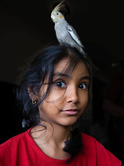 A funny, candid moment where the cockatiel decided the best perch was on top of his human's head. Her expression is priceless!