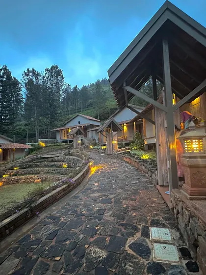 The TARA resort at dusk, where carefully considered lighting highlights the new architectural forms and natural textures. We designed the pathways and structures to create a sense of discovery and privacy, crafting an immersive experience where the building settles quietly into the landscape.
