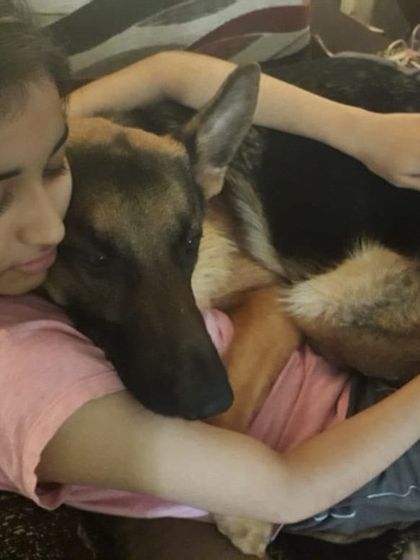 Sometimes he just wants to be a lap dog while we watch TV. These quiet moments of connection are what it's all about.