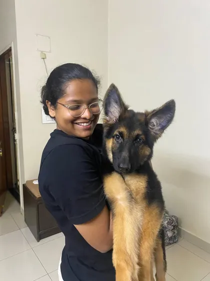 There's nothing like the trust of a puppy. Here I am with a German Shepherd pup, and this moment captures the beginning of our journey. Building this connection early on is key to raising a confident and well-adjusted adult dog.