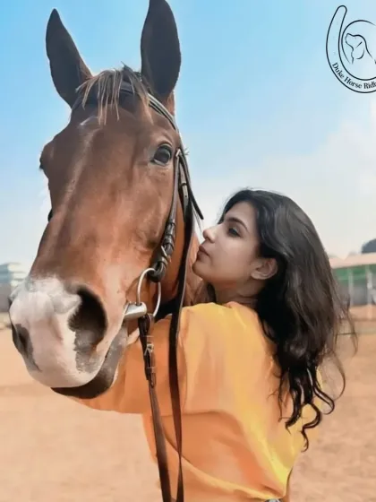 Another beautiful moment of connection, showing the gentle nature of our well-cared-for horses.