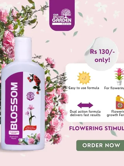 No blooms in your garden? Our Blossom flowering stimulant can help. It's an easy-to-use formula that delivers fast results for all your flowering plants.