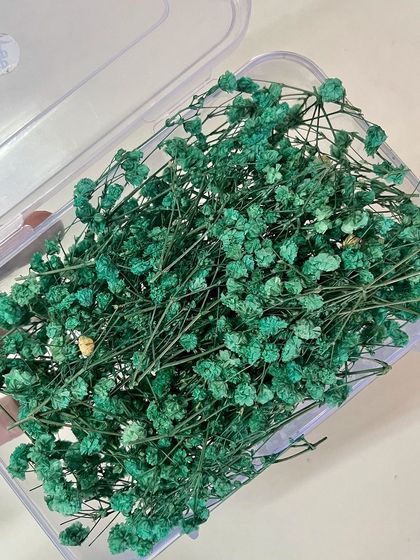 This dark green baby's breath provides a beautiful, natural contrast, especially in lighter hair.