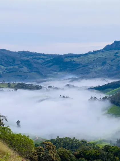 The misty valleys of Munnar, a landscape that looks like a beautiful painting.